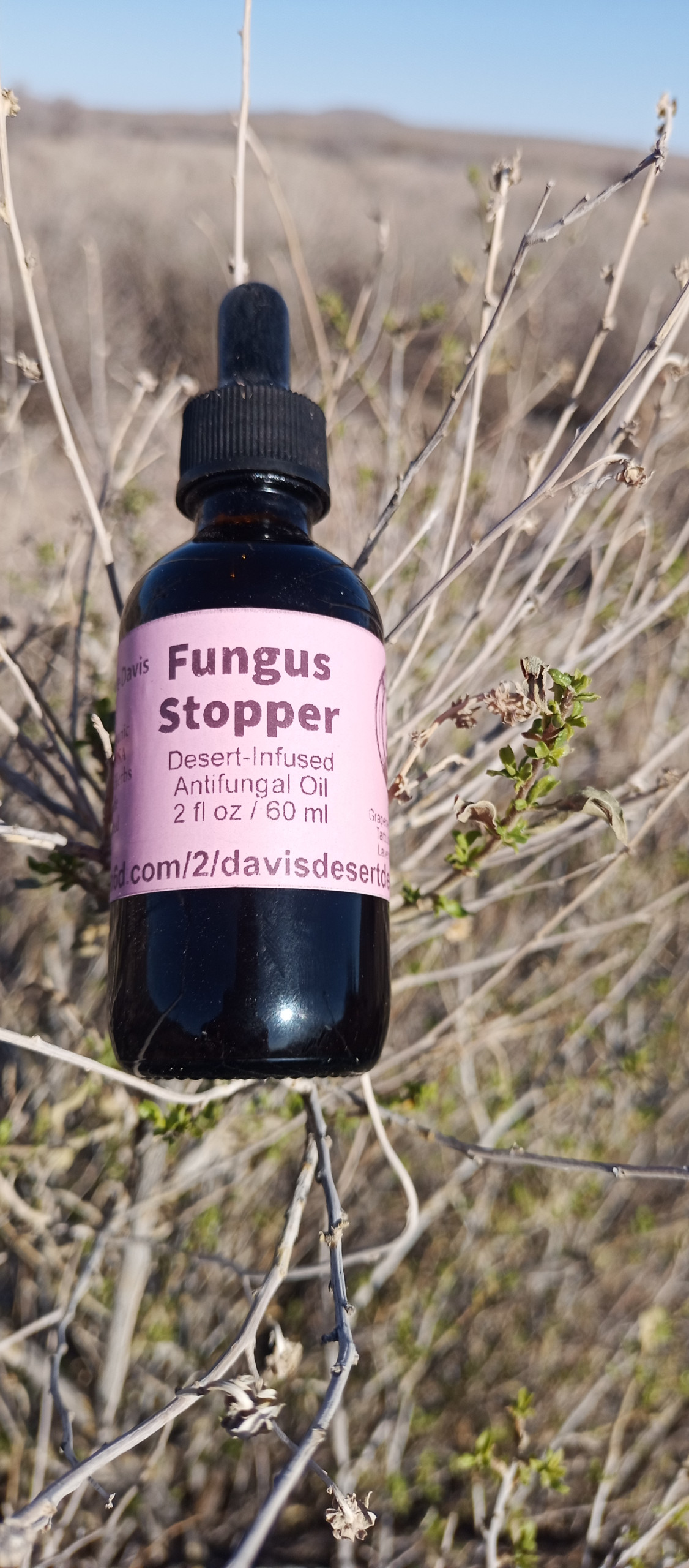 Fungus Stopper - Desert-Infused Antifungal Oil 2 fl oz / 60 ml