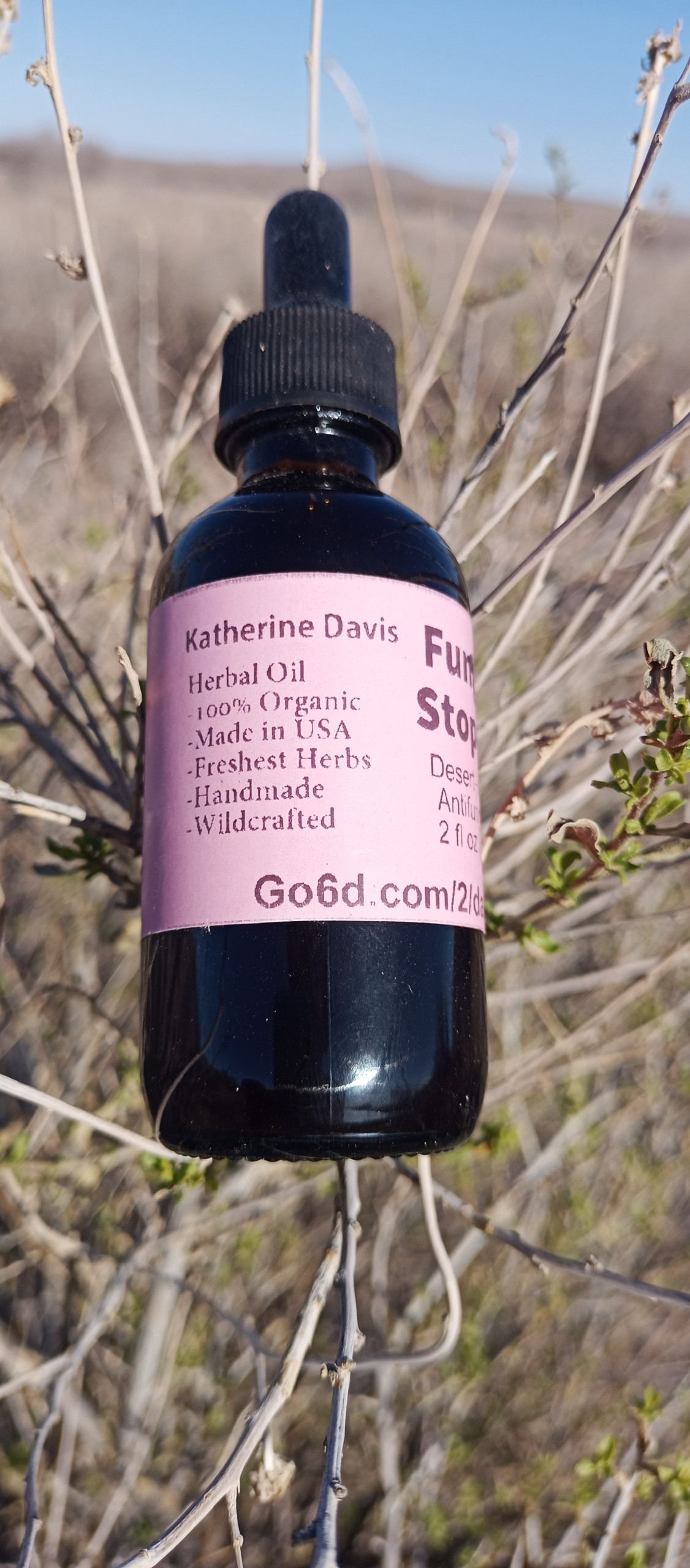 Fungus Stopper - Desert-Infused Antifungal Oil 2 fl oz / 60 ml - Image 2