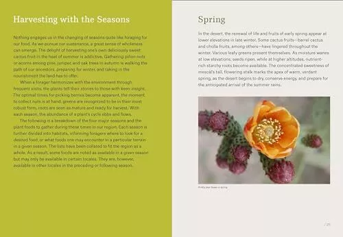 Southwest Foraging: 117 Wild and Flavorful Edibles from Barrel Cactus to Wild - Image 4