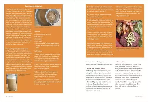 Southwest Foraging: 117 Wild and Flavorful Edibles from Barrel Cactus to Wild - Image 5