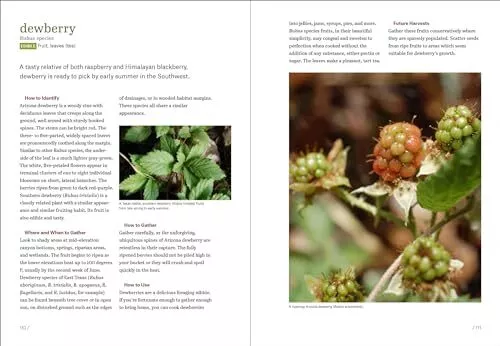Southwest Foraging: 117 Wild and Flavorful Edibles from Barrel Cactus to Wild - Image 6