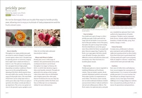 Southwest Foraging: 117 Wild and Flavorful Edibles from Barrel Cactus to Wild - Image 7