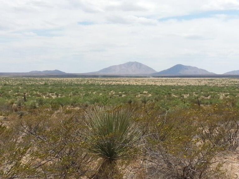 20 Acre tract of land