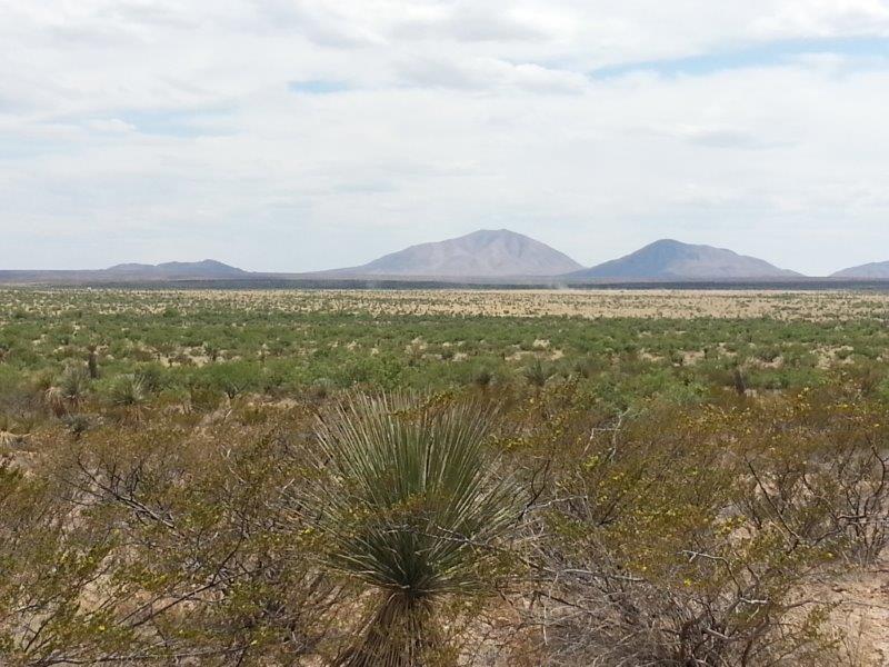 20 Acre tract of land